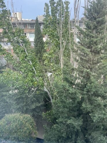 Təmir işləri: Sahibinen Bineqedi rayonu 8 mik Nizami Nərimanov kuc yaşil — 25