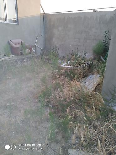 garaj satışı: Pirşağı qəs. 4 otaqlı, 955 kv. m, Orta təmir — 6