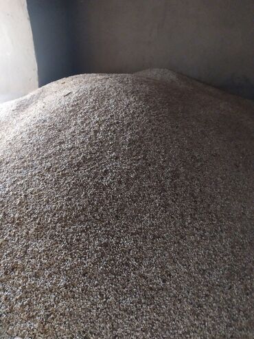 трава для животных: Сафлор, очищенный 7 тонн, цена 30 сом кг. Московский район