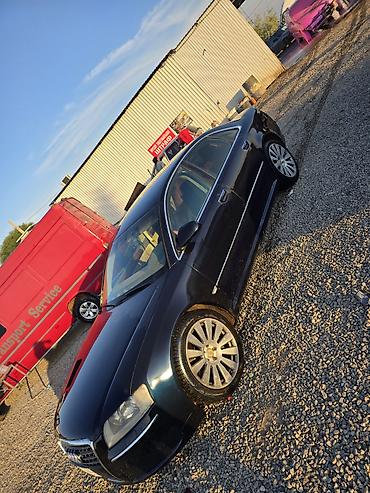на ауди а8: Audi A8: 2003 г., 4.2 л, Автомат, Бензин, Седан — 6