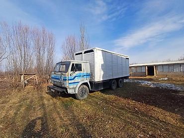 Грузовики: Грузовик, Б/у — 1