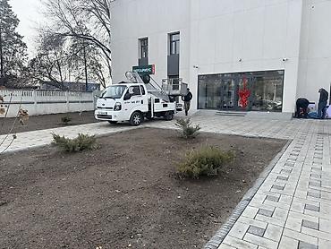 Kia: Kia : 2016 г. — 13