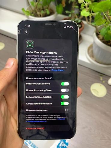 dvd ata: IPhone 11, белый цвет. iPhone 11 свет белый все работает АКБ 100 — 10