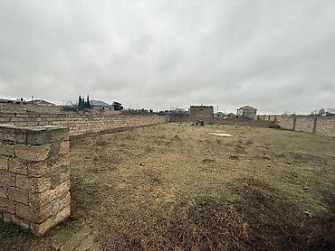 cepis satisi: 6 sot, Tikinti, Mülkiyyətçi, Kupça (Çıxarış) — 1