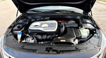 Kia: Kia K5: 2019 г., 2 л, Автомат, Гибрид, Седан — 13