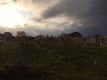 Torpaq sahələrinin satışı: 25 sot, Tikinti, Makler, Kupça (Çıxarış) — 3