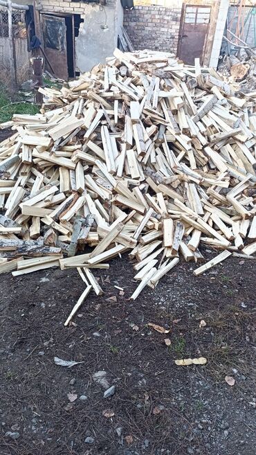 дрова мешками: Дрова Платная доставка