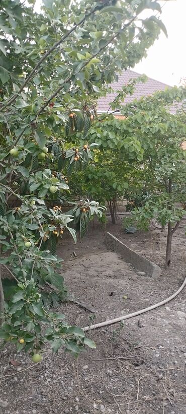 Həyət evləri və villaların satışı: 3 otaqlı, 100 kv. m, Kredit yoxdur, Orta təmir — 7