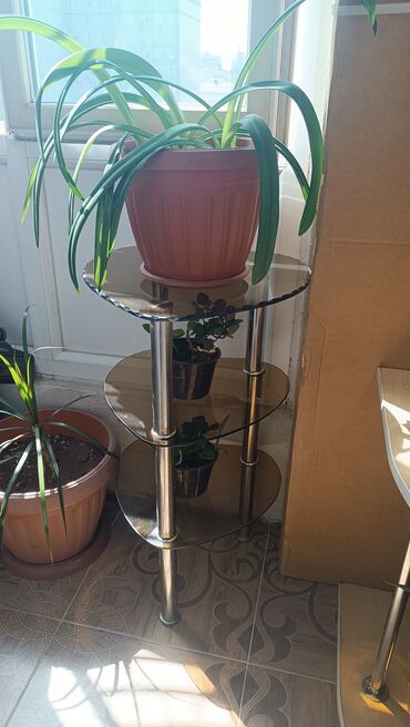 Полки для обуви: Элегантная угловая полка из светлого дерева с тремя вместительными — 30