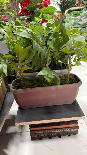 Süni güllər: Sakura dekorativ tağ – interyer üçün floristika xidməti - Obyektin — 13