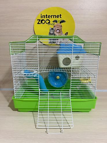 Хомяки: Продаются хомячки джунгарские, сирийские, ангорские пушистые хомячки — 22