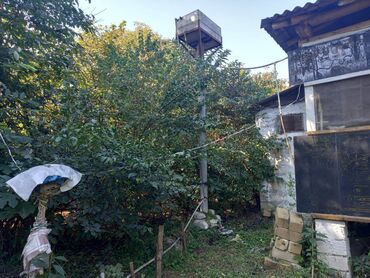 Bağ evlərinin satışı: Qax, 55 kv. m, 1 otaqlı, Qaz, İşıq, Su — 7