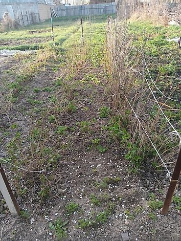 Продажа коттеджей и домов: ✅ Продается дом с. Дмитриевка ул. Калинина 64 а 🔴 Участок 12.5 соток — 4