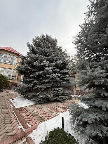 Продажа коттеджей и домов: 🏡 Срочно Продается участок с Домом в центре города! 2-линия 🔥 📍 — 1