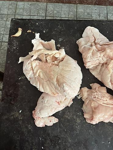 Мясная продукция: Говяжий жир почечный или же тонкий в любом количестве есть цена от 200 — 2