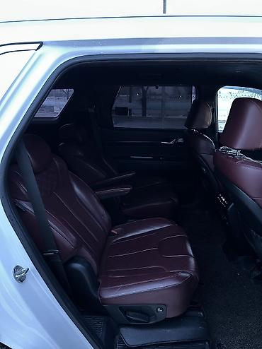 Hyundai: Hyundai Palisade: 2019 г., 2.2 л, Автомат, Дизель, Кроссовер — 12