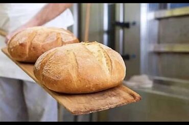 пекарь хлеба: Требуется Повар : 1-2 года опыта