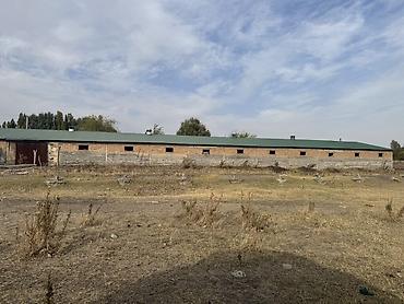 гараж продаю: Сдаю Ферма, 100 голов, 150 соток, Электричество, Водопровод — 1