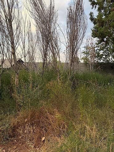 Үйлөр: Сдаю дом из 3 комнат и прихожей в районе 4 горбольницы душ туалет в — 7