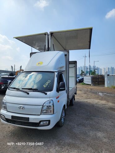 куплью экскавтор хундай 555: Hyundai Porter: 2020 г., 2.5 л, Типтроник, Дизель, Van