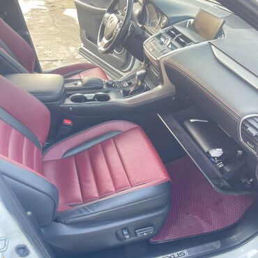 Lexus: Lexus NX: 2017 г., Кроссовер — 24