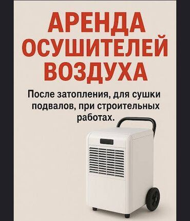 химчистка аппарат: Осушители воздуха в аренду