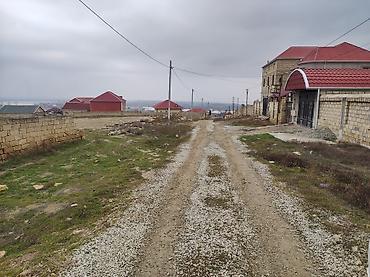 samaxi cuxuryurd torpaq: 7 sot, Tikinti, Mülkiyyətçi, Kupça (Çıxarış) — 8