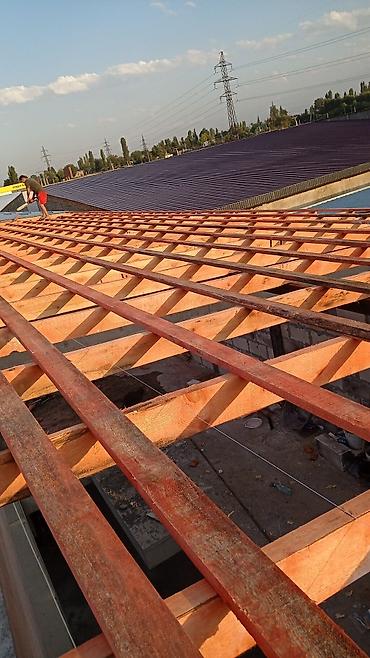 Кровля крыши: Крыша жабабыз — 6