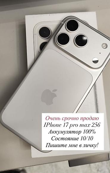 IPhone 17 Pro Max, 256 ГБ, цвет серебристый. - Дисплей Super Retina