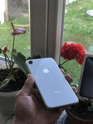 Apple iPhone: IPhone Xr, 64 ГБ, Белый, Коробка — 1
