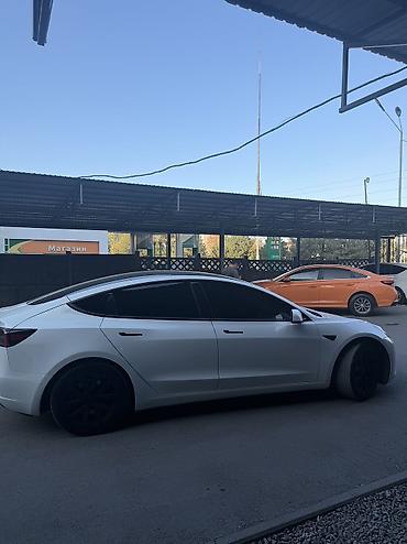 tesla pi: Tesla Model 3: 2021 г., 4.7 л, Автомат, Электромобиль, Лифтбек — 5