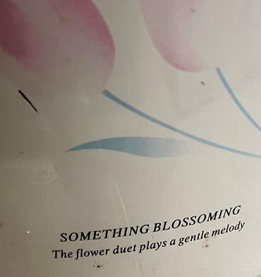 Qazanlar: Qazan, rəng - Qara, Alüminium — 9