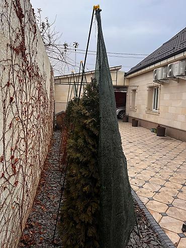 ожог: Каркас металлический для укрытия растений на зиму. Высота 2,35 см — 3