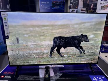 Телевизоры: Телик Телевизоры Samsung Android 13 с голосовым управлением, 43 at lalafo.kg — 8 Телевизоры: Телик Телевизоры Samsung Android 13 с голосовым управлением, 43 — 8