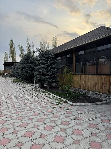 Кафе, рестораны: Продажа бизнеса Вместе с: Недвижимость — 12