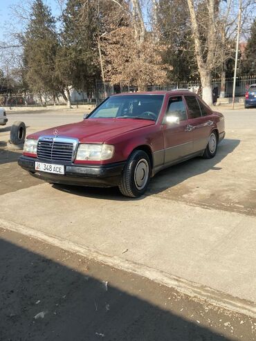 Mercedes-Benz: Mercedes-Benz W124: 1989 г., 2 л, Механика, Дизель, Седан