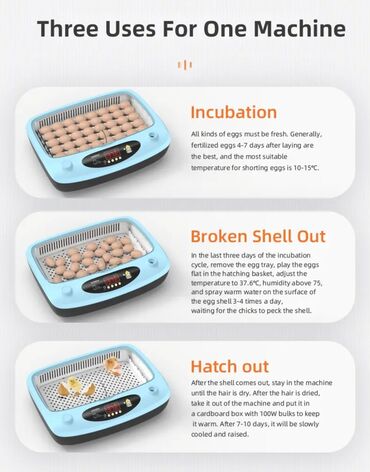 Oprema za kućne ljubimce: INKUBATOR Automatski nove generacije za 40 jaja 12v/220v — 10