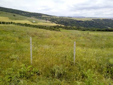 Torpaq sahələrinin satışı: 300 sot, Kənd təsərrüfatı, Mülkiyyətçi -da lalafo.az — 3 Torpaq sahələrinin satışı: 300 sot, Kənd təsərrüfatı, Mülkiyyətçi — 3