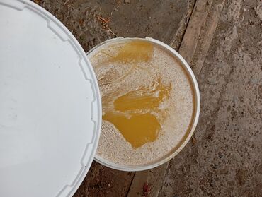 Мёд: Продаю мёд эспарцет 2024 Жумгал, оптом