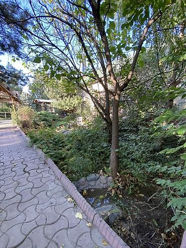 Sale of cottages and houses: Продается Дом в селе Кок Жар на пересечении улиц 7апреля и Аалы — 4