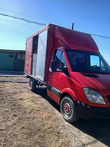 скат: Грузовик, Mercedes-Benz, Стандарт, 3 т, Б/у — 2