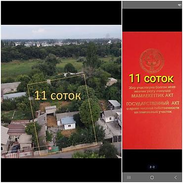 алтын казык участок: 11 соток, Для строительства, Красная книга, Тех паспорт, Договор дарения — 1