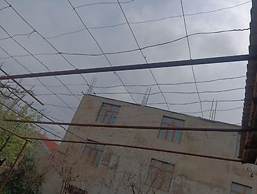 qefes type 1: Turbaları satıram istiyən olsa Binədə qaliram 6 metrlik 2 və 2.5liq — 1