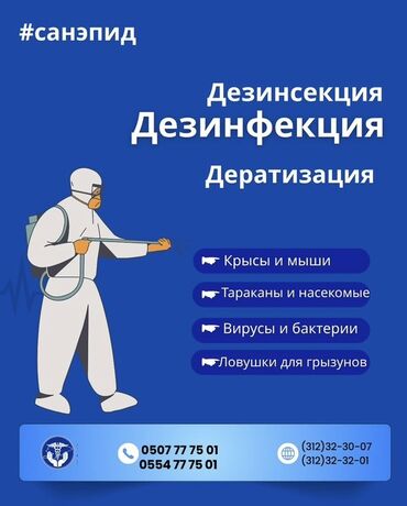 обработка квартиры от клопов: Дезинфекция, дезинсекция, | Мыши и крысы, | Кафе, магазины, Дома, Квартиры