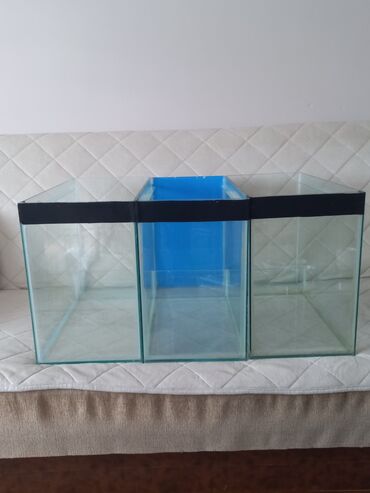 Akvariumi: AKVARIJUMI (tri komada) za ribice dimenzija: D-50cm Š-25cm V-40cm u — 2