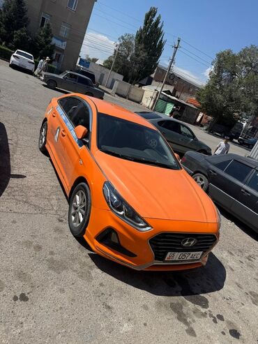 соната оранжевый: Hyundai Sonata: 2019 г., 2 л, Газ, Седан