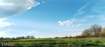 Torpaq sahələrinin satışı: Tikinti — 30