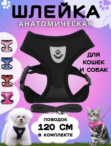 лежаки для собак мелких пород: Шлейка,для собак мелкой породы и кошек, М и S, М в черном цвете, S