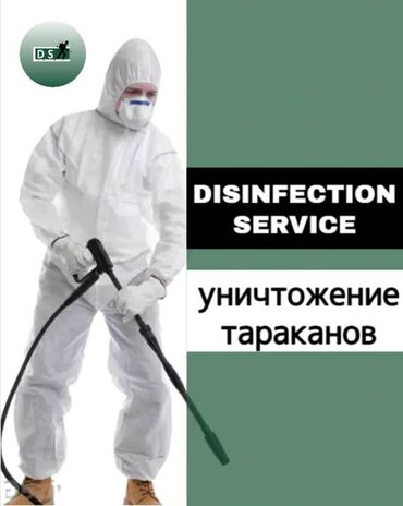 Дезинфекция, дезинсекция: Дезинфекция, дезинсекция, | Тараканы, | Транспорт, Офисы, Квартиры