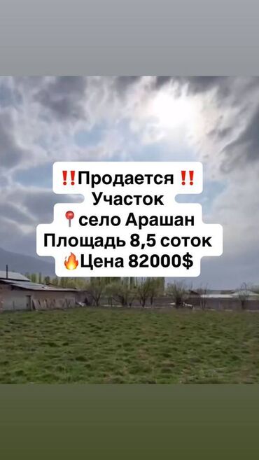 кашар фазенда: 8 соток, Курулуш, Кызыл китеп, Сатып алуу-сатуу келишими